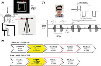 Effects of online and offline trigeminal nerve stimulation on visuomotor learning